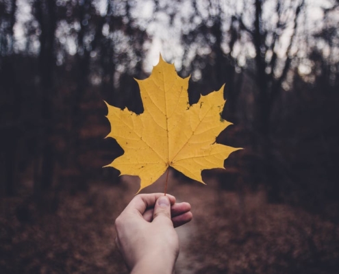 A Canadian holding a maple leaf