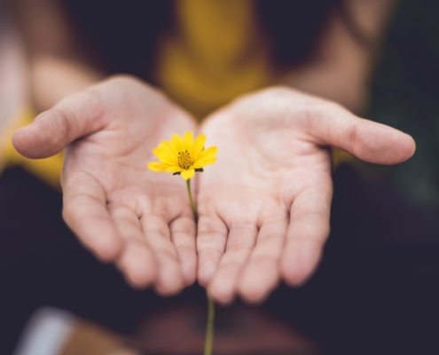 charity disbursement quotas