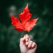 person holding a red maple leaf